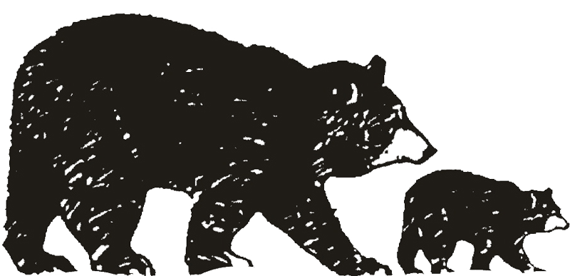 logo bears